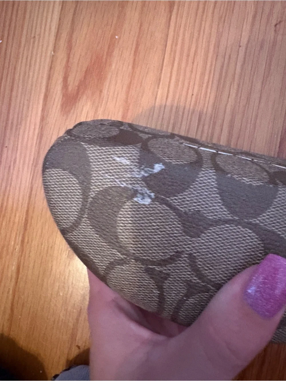 COACH Signature Pattern Sunglasses Case in Brown and Black